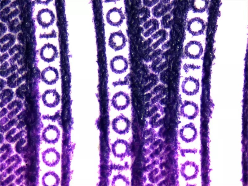 Makroaufsätze für Elektronenmikroskope mit Faktor 2,0× – 2